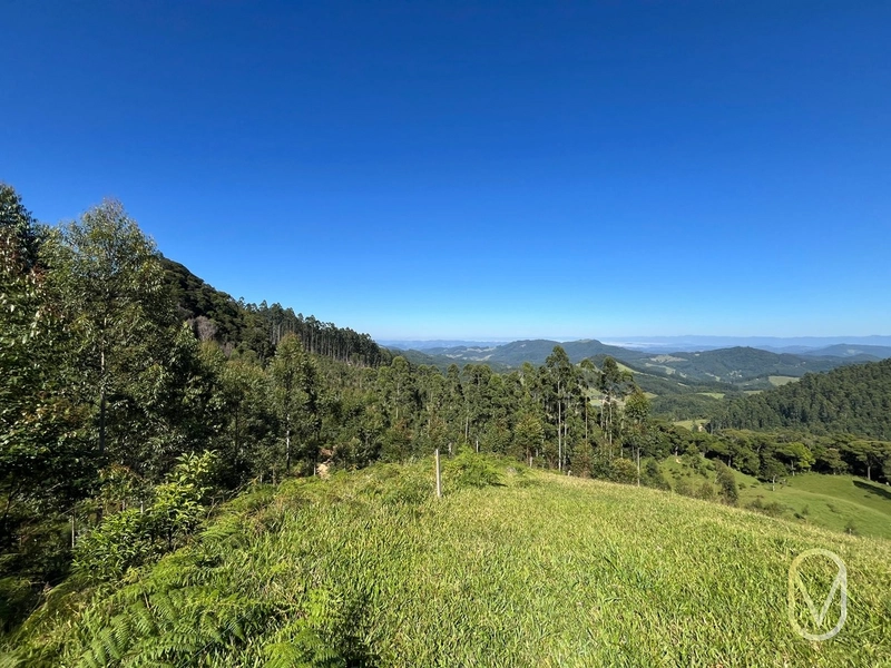 Terreno de 31 hectares á Venda em São Martinho-SC: 28ª foto da galeria de imagens do imóvel