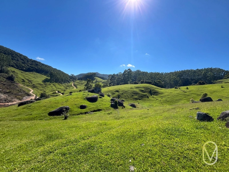 Terreno de 31 hectares á Venda em São Martinho-SC: 35ª foto da galeria de imagens do imóvel