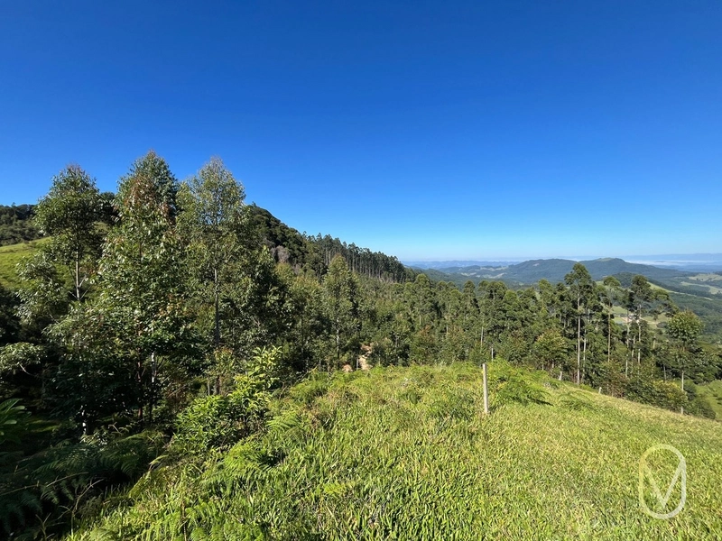 Terreno de 31 hectares á Venda em São Martinho-SC: 27ª foto da galeria de imagens do imóvel