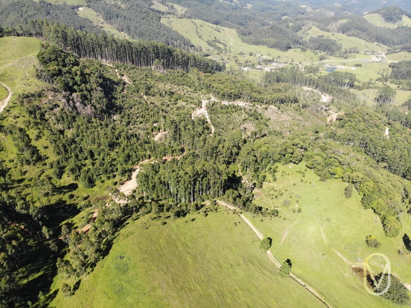 Terreno de 31 hectares á Venda em São Martinho-SC: 4ª foto da galeria de imagens do imóvel