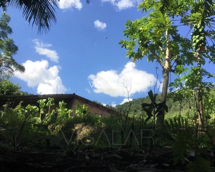 SÍTIO a venda em São Bonifácio/sc OPORTUNIDADE DE INVESTIMENTO!: 4ª foto da galeria de imagens do imóvel