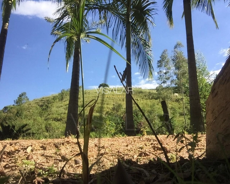 SÍTIO a venda em São Bonifácio/sc OPORTUNIDADE DE INVESTIMENTO!: 6ª foto da galeria de imagens do imóvel
