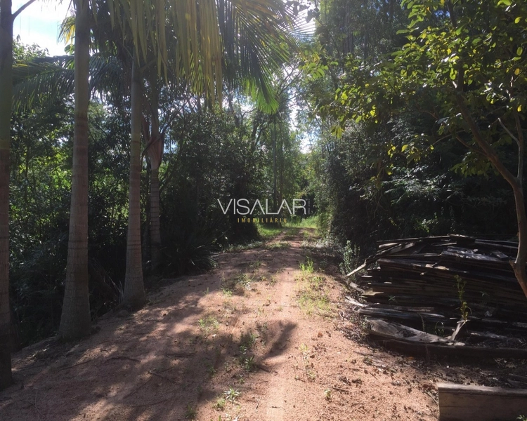 SÍTIO a venda em São Bonifácio/sc OPORTUNIDADE DE INVESTIMENTO!: 8ª foto da galeria de imagens do imóvel