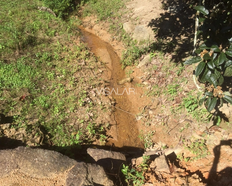SÍTIO a venda em São Bonifácio/sc OPORTUNIDADE DE INVESTIMENTO!: 9ª foto da galeria de imagens do imóvel