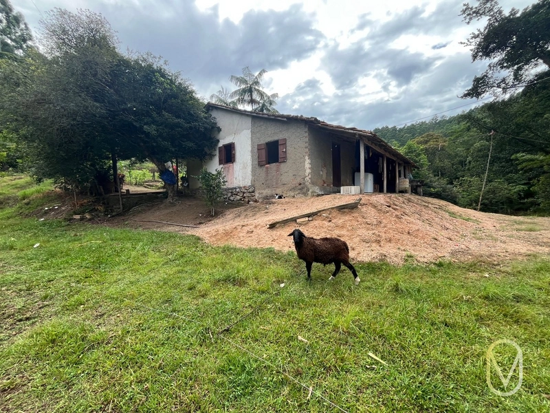 Terreno de 23.8 hectares á Venda São Martinho-SC: 14ª foto da galeria de imagens do imóvel