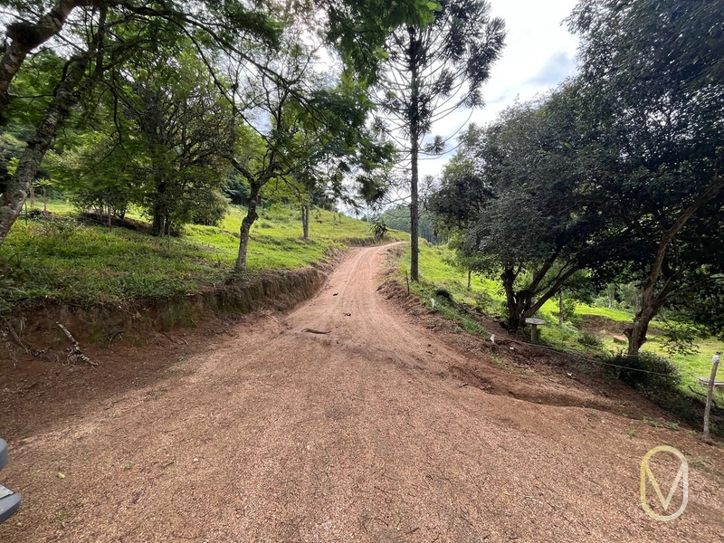 Terreno de 23.8 hectares á Venda São Martinho-SC: 11ª foto da galeria de imagens do imóvel