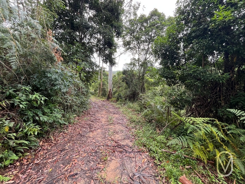 Terreno de 23.8 hectares á Venda São Martinho-SC: 49ª foto da galeria de imagens do imóvel