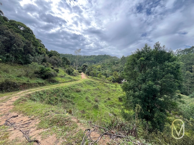 Terreno de 23.8 hectares á Venda São Martinho-SC: 51ª foto da galeria de imagens do imóvel