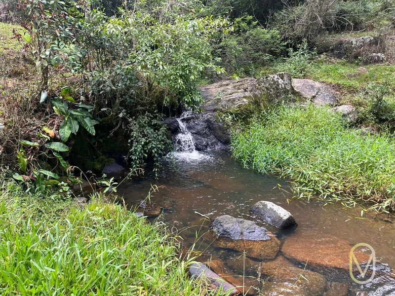 Terreno de 23.8 hectares á Venda São Martinho-SC: 23ª foto da galeria de imagens do imóvel