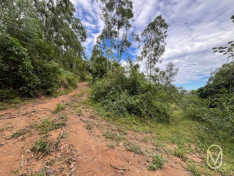 Terreno de 23.8 hectares á Venda São Martinho-SC: 46ª foto da galeria de imagens do imóvel