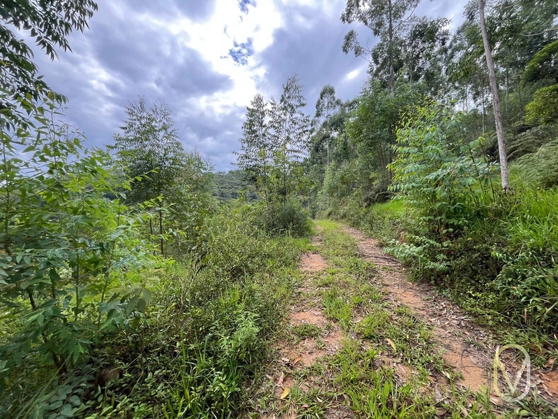 Terreno de 23.8 hectares á Venda São Martinho-SC: 48ª foto da galeria de imagens do imóvel