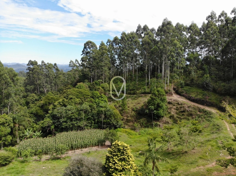 Terreno de 23.8 hectares á Venda São Martinho-SC: 9ª foto da galeria de imagens do imóvel