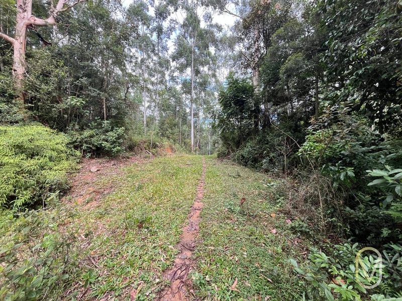 Terreno de 23.8 hectares á Venda São Martinho-SC: 38ª foto da galeria de imagens do imóvel