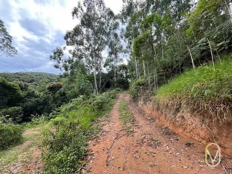 Terreno de 23.8 hectares á Venda São Martinho-SC: 47ª foto da galeria de imagens do imóvel