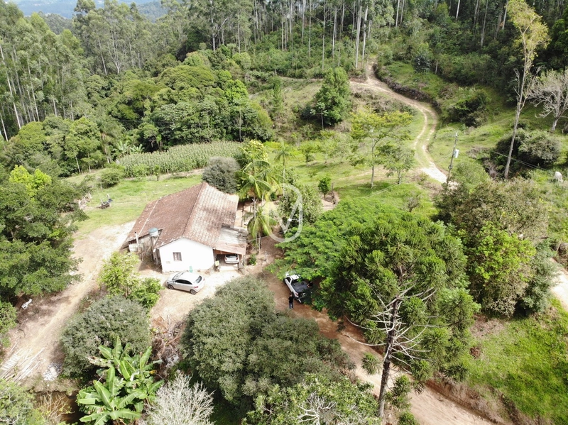 Terreno de 23.8 hectares á Venda São Martinho-SC: 6ª foto da galeria de imagens do imóvel