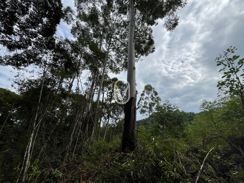Terreno de 23.8 hectares á Venda São Martinho-SC: 32ª foto da galeria de imagens do imóvel