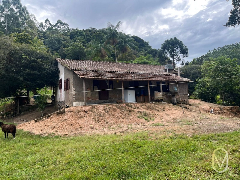 Terreno de 23.8 hectares á Venda São Martinho-SC: 13ª foto da galeria de imagens do imóvel
