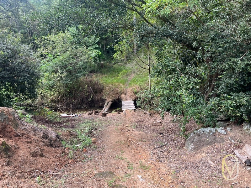 Terreno de 23.8 hectares á Venda São Martinho-SC: 29ª foto da galeria de imagens do imóvel