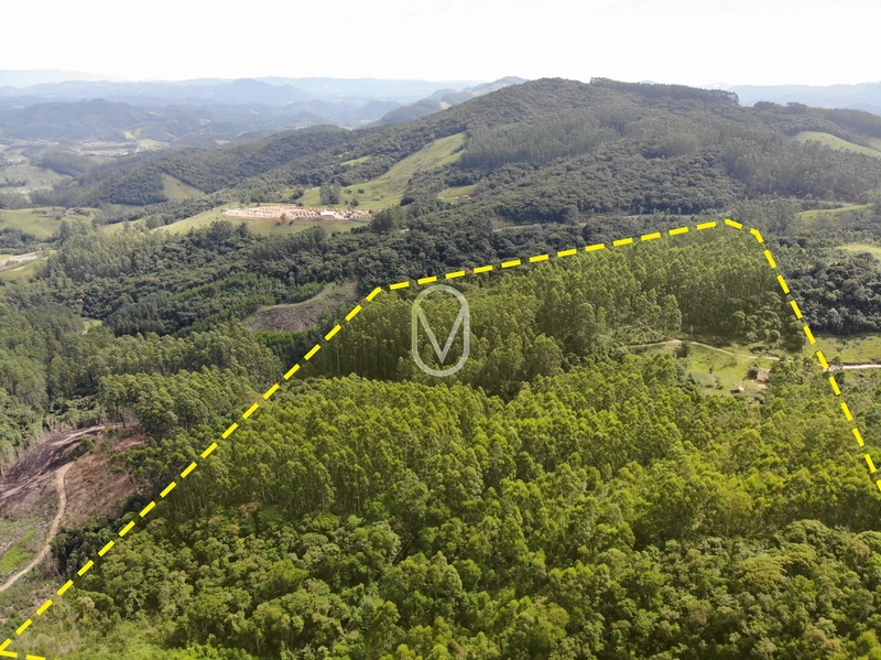 Terreno de 23.8 hectares á Venda São Martinho-SC: 4ª foto da galeria de imagens do imóvel