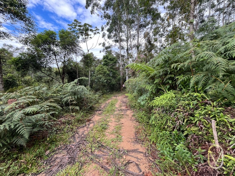 Terreno de 23.8 hectares á Venda São Martinho-SC: 52ª foto da galeria de imagens do imóvel