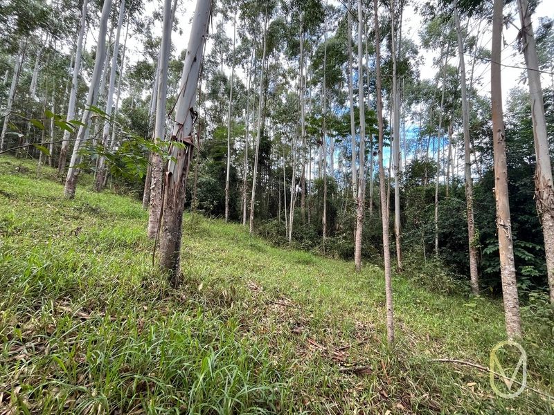 Terreno de 23.8 hectares á Venda São Martinho-SC: 31ª foto da galeria de imagens do imóvel