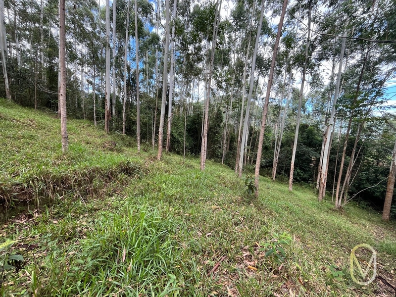 Terreno de 23.8 hectares á Venda São Martinho-SC: 34ª foto da galeria de imagens do imóvel