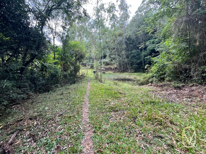Terreno de 23.8 hectares á Venda São Martinho-SC: 30ª foto da galeria de imagens do imóvel