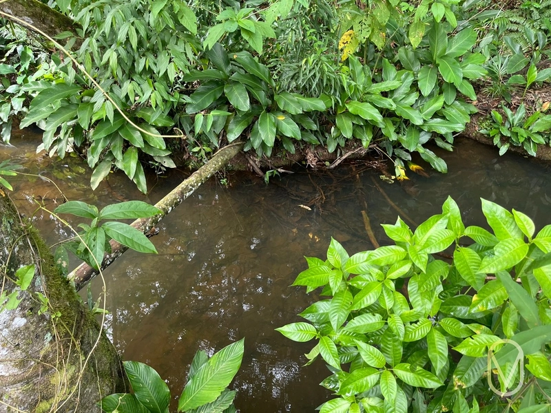 Terreno de 23.8 hectares á Venda São Martinho-SC: 25ª foto da galeria de imagens do imóvel