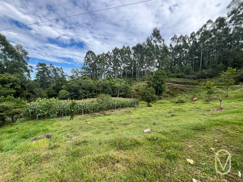 Terreno de 23.8 hectares á Venda São Martinho-SC: 43ª foto da galeria de imagens do imóvel