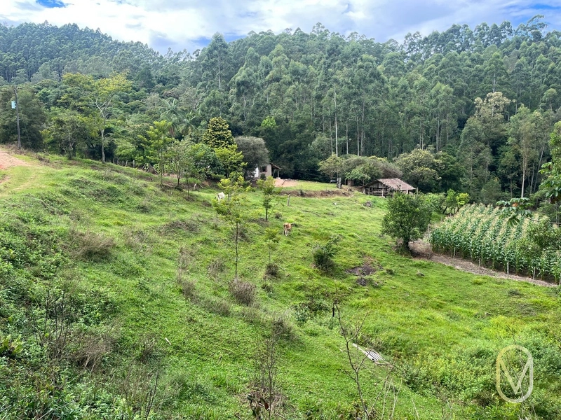 Terreno de 23.8 hectares á Venda São Martinho-SC: 45ª foto da galeria de imagens do imóvel