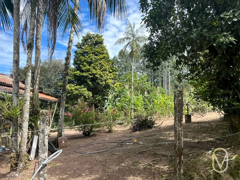 Terreno de 23.8 hectares á Venda São Martinho-SC: 12ª foto da galeria de imagens do imóvel