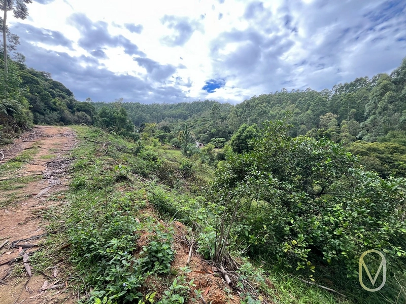 Terreno de 23.8 hectares á Venda São Martinho-SC: 44ª foto da galeria de imagens do imóvel