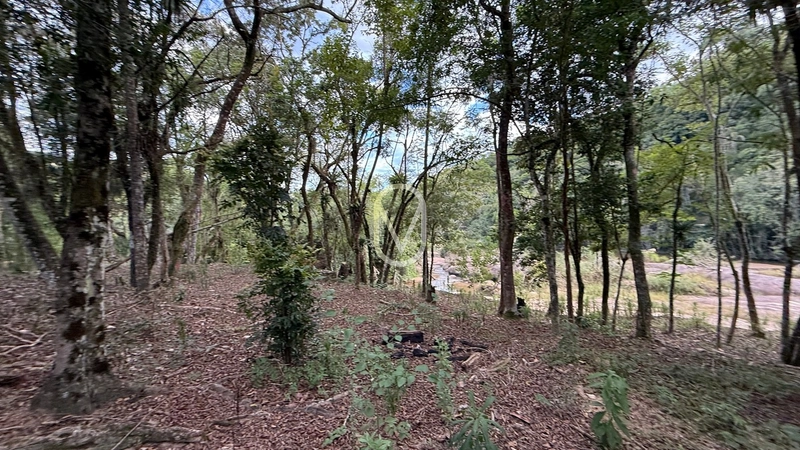 Terreno á Venda no bairro Barra do Rio Sete em São Martinho-SC: 73ª foto da galeria de imagens do imóvel