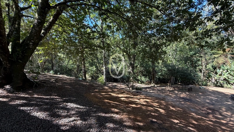 Terreno á Venda no bairro Barra do Rio Sete em São Martinho-SC: 27ª foto da galeria de imagens do imóvel
