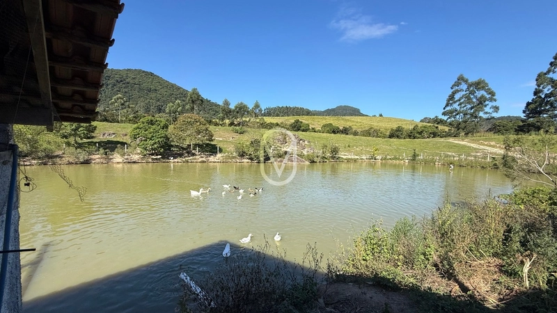 Terreno á Venda no bairro Barra do Rio Sete em São Martinho-SC: 54ª foto da galeria de imagens do imóvel