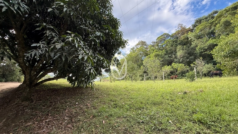 Terreno á Venda no bairro Barra do Rio Sete em São Martinho-SC: 76ª foto da galeria de imagens do imóvel
