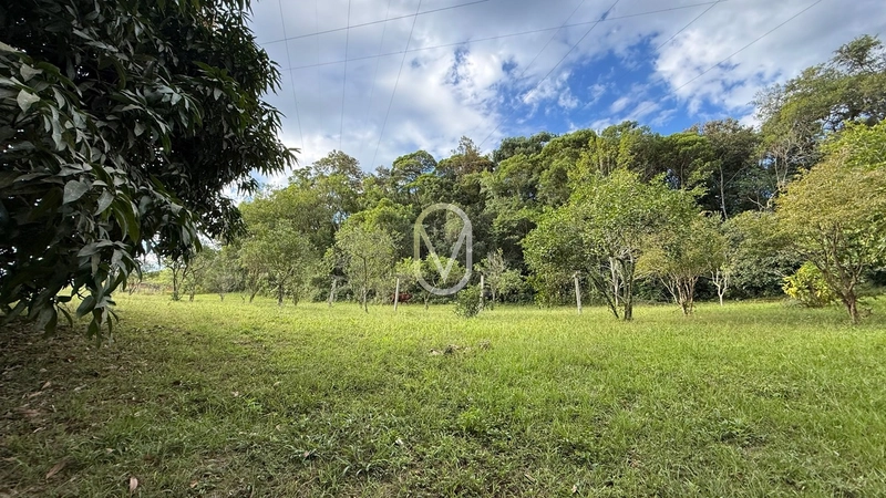Terreno á Venda no bairro Barra do Rio Sete em São Martinho-SC: 75ª foto da galeria de imagens do imóvel