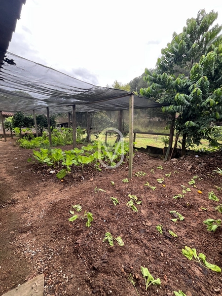 Sobrado a Venda em Rio São João, São Martinho-SC.: 51ª foto da galeria de imagens do imóvel