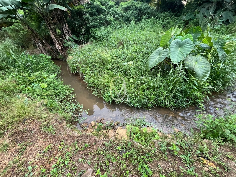 Sobrado a Venda em Rio São João, São Martinho-SC.: 37ª foto da galeria de imagens do imóvel
