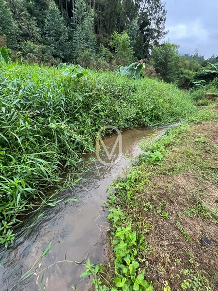 Sobrado a Venda em Rio São João, São Martinho-SC.: 39ª foto da galeria de imagens do imóvel