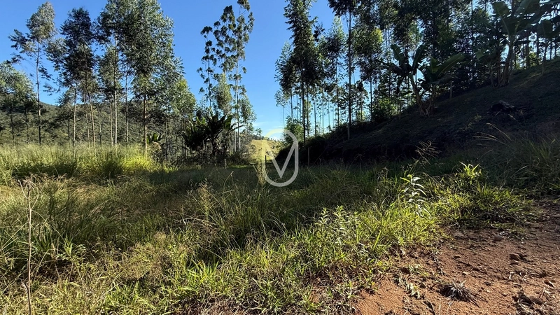 Terreno de 2 hectares á Venda no bairro Bom Jesus em Armazém-SC: 36ª foto da galeria de imagens do imóvel