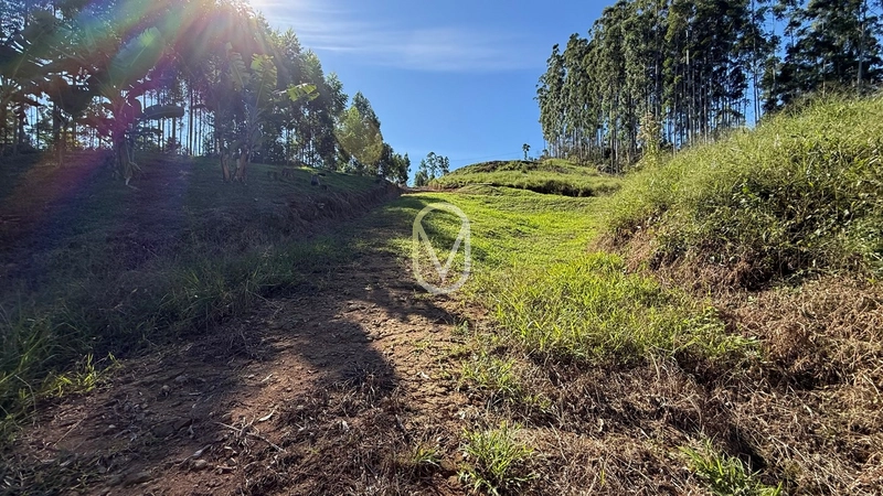 Terreno de 2 hectares á Venda no bairro Bom Jesus em Armazém-SC: 32ª foto da galeria de imagens do imóvel