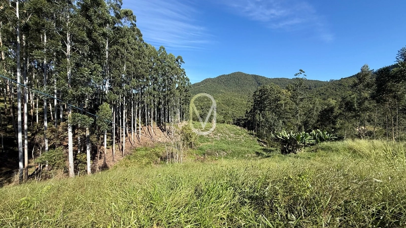 Terreno de 2 hectares á Venda no bairro Bom Jesus em Armazém-SC: 22ª foto da galeria de imagens do imóvel