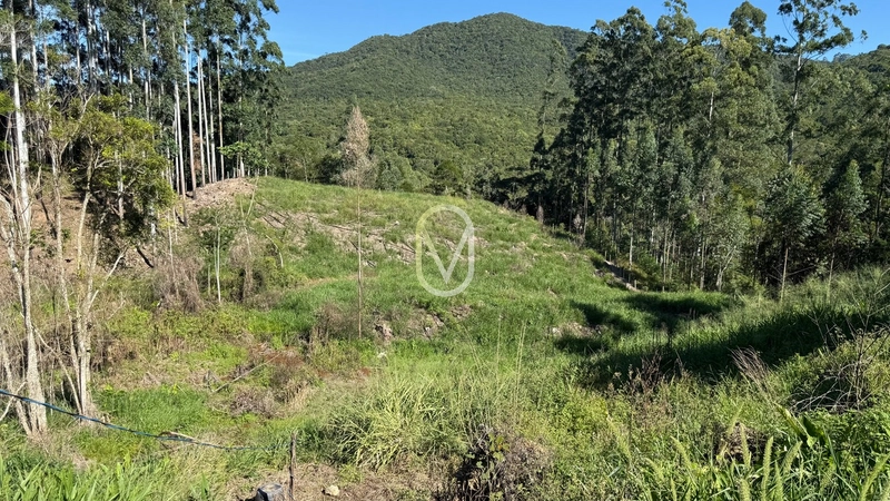 Terreno de 2 hectares á Venda no bairro Bom Jesus em Armazém-SC: 30ª foto da galeria de imagens do imóvel