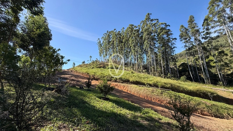 Terreno de 2 hectares á Venda no bairro Bom Jesus em Armazém-SC: 29ª foto da galeria de imagens do imóvel