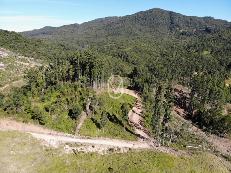 Terreno de 2 hectares á Venda no bairro Bom Jesus em Armazém-SC: 6ª foto da galeria de imagens do imóvel