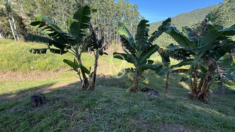 Terreno de 2 hectares á Venda no bairro Bom Jesus em Armazém-SC: 27ª foto da galeria de imagens do imóvel