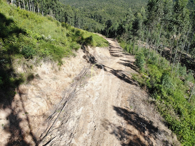 Terreno de 2 hectares á Venda no bairro Bom Jesus em Armazém-SC: 9ª foto da galeria de imagens do imóvel