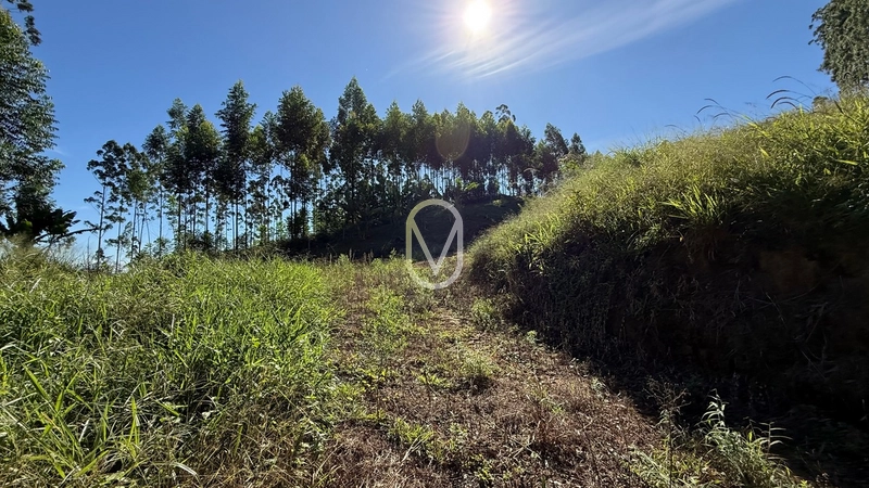 Terreno de 2 hectares á Venda no bairro Bom Jesus em Armazém-SC: 35ª foto da galeria de imagens do imóvel
