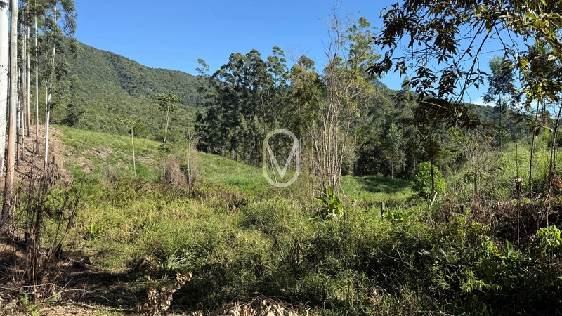 Terreno de 2 hectares á Venda no bairro Bom Jesus em Armazém-SC: 31ª foto da galeria de imagens do imóvel